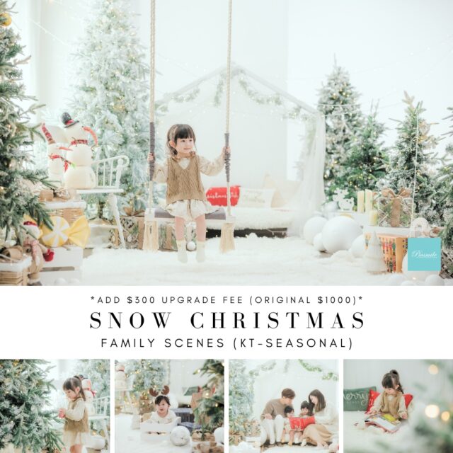 KT FAMILY SNOW CHRISTMAS (1)