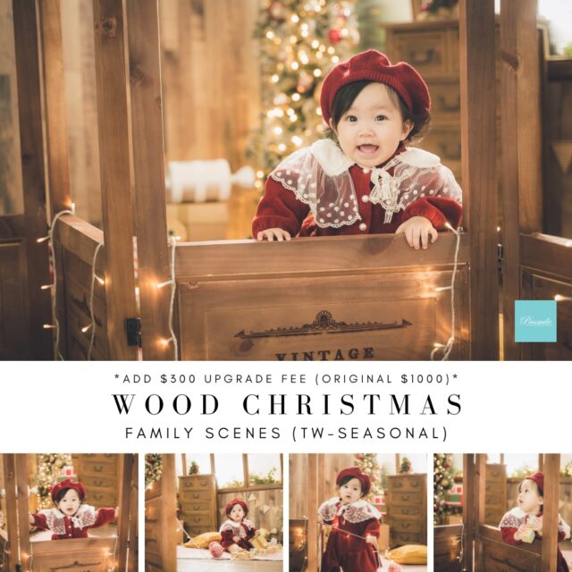 TW FAMILY WOOD CHRISTMAS (1)