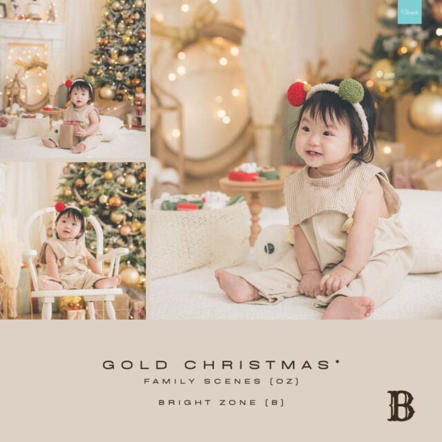 OZ B GOLD CHRISTMAS