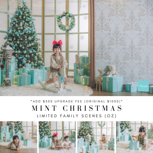 OZ FAMILY MINT CHRISTMAS