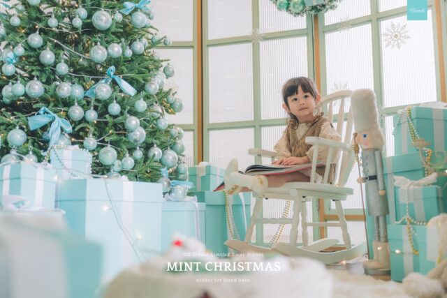 OZ MINT CHRISTMAS (16)