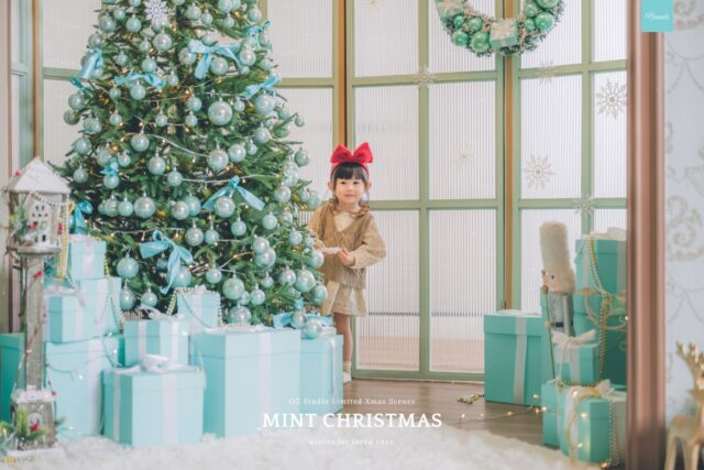 OZ MINT CHRISTMAS (2)