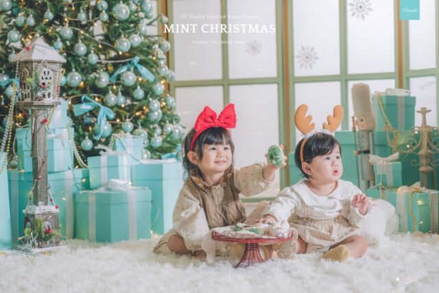 OZ MINT CHRISTMAS (4)