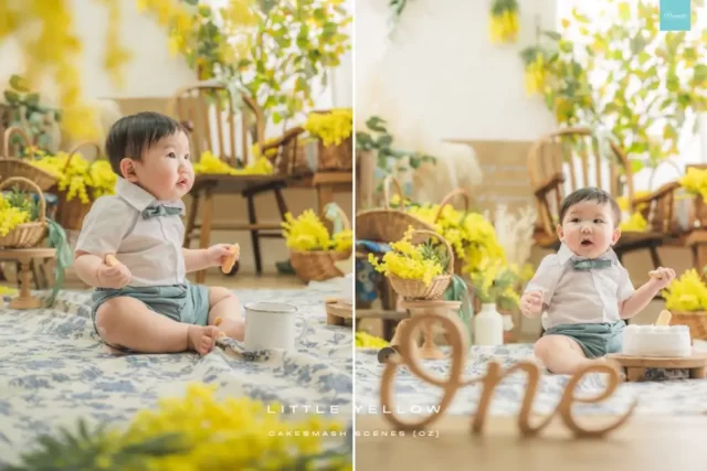 OZ-Cake-Little-Yellow-10