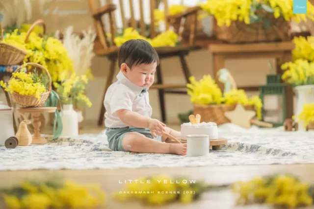 OZ-Cake-Little-Yellow-11