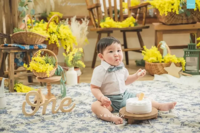OZ-Cake-Little-Yellow-14