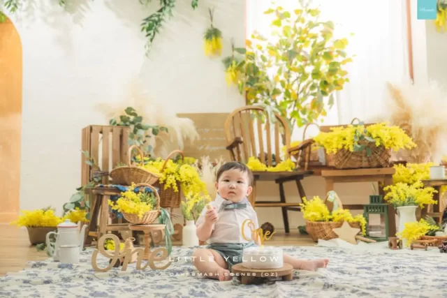 OZ-Cake-Little-Yellow-16