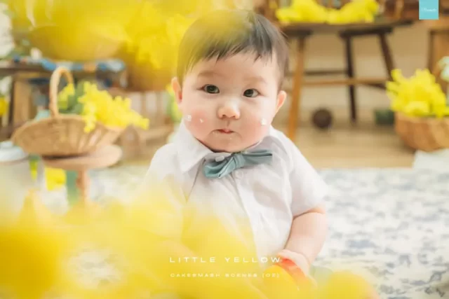 OZ-Cake-Little-Yellow-4-1