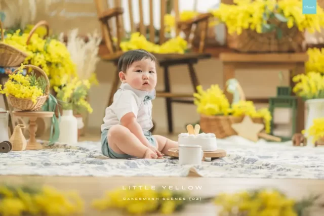 OZ-Cake-Little-Yellow-8